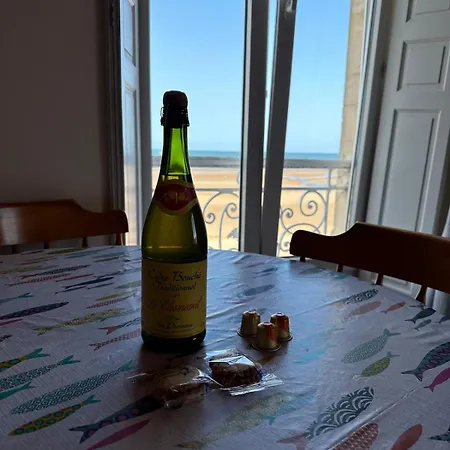 Lejlighed L'horizon Bleu, Front De Mer, Jardin, Parking, Wifi