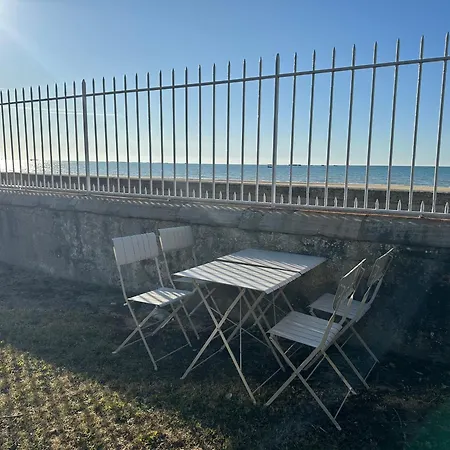 L'horizon Bleu, Front De Mer, Jardin, Parking, Wifi Lejlighed *
