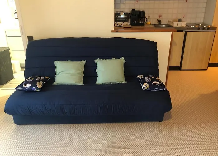 דירה L'horizon Bleu, Front De Mer, Jardin, Parking, Wifi